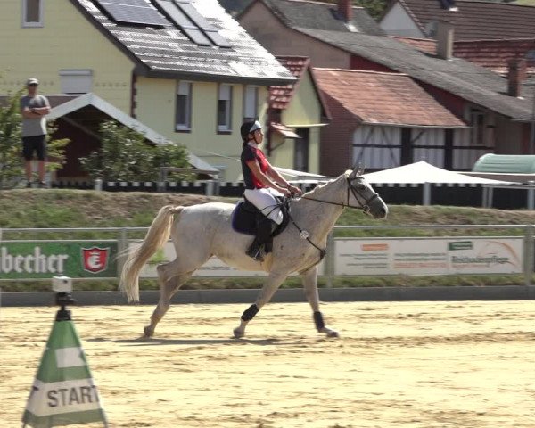 Reitturnier Kreiensen- Rittierode 2022