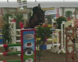 jumper Quinntina (Hanoverian, 2003, from Quidam's Rubin)