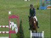 jumper Chellestien (German Sport Horse, 2005, from Chello II)