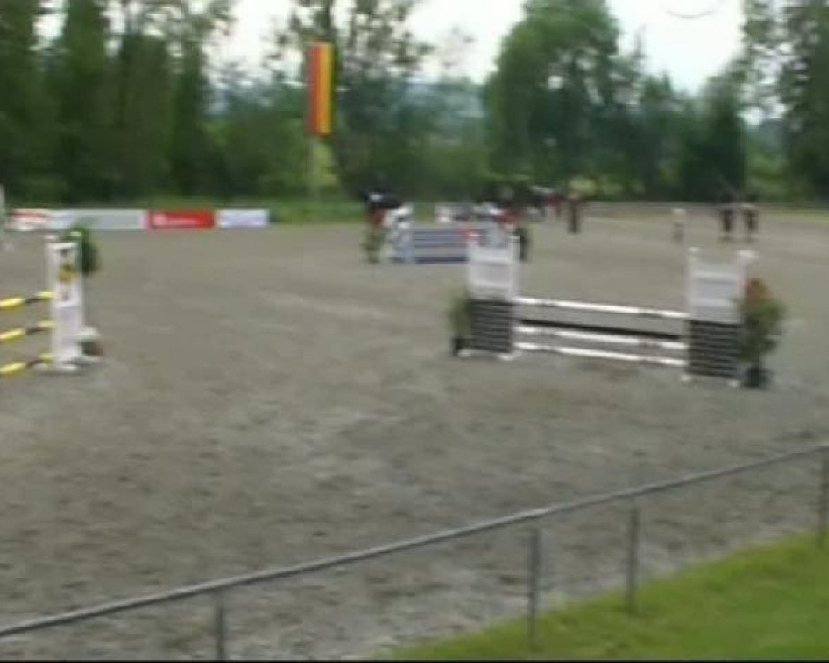 horse Coralina 8 (Hanoverian, 2005, from Conteur)