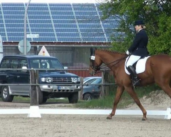 dressage horse Leonell 3 (Hanoverian, 2001, from Londonderry)