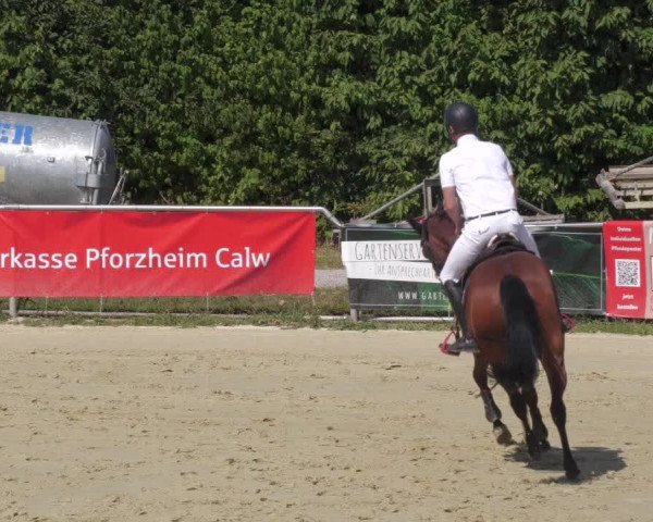 Reitturnier Oberderdingen 2022