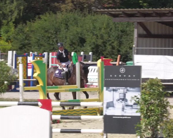 Reitturnier Oberderdingen 2022