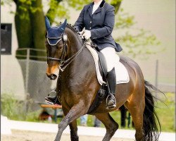 dressage horse West Virginia 39 (German Warmblood, 1997, from Western Light)