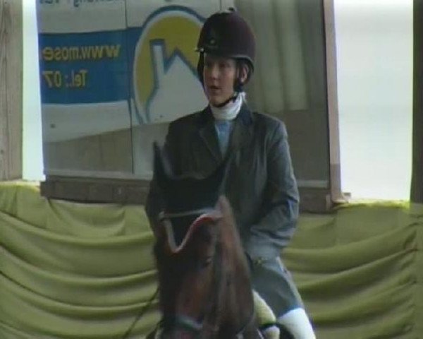 jumper Ophelie du Cers (Selle Français, 2002, from Fidelio du Donjon)