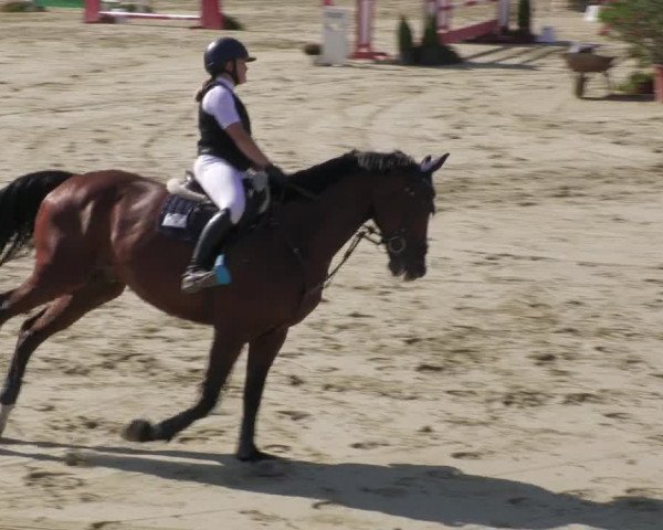 Reitturnier Oberderdingen 2022