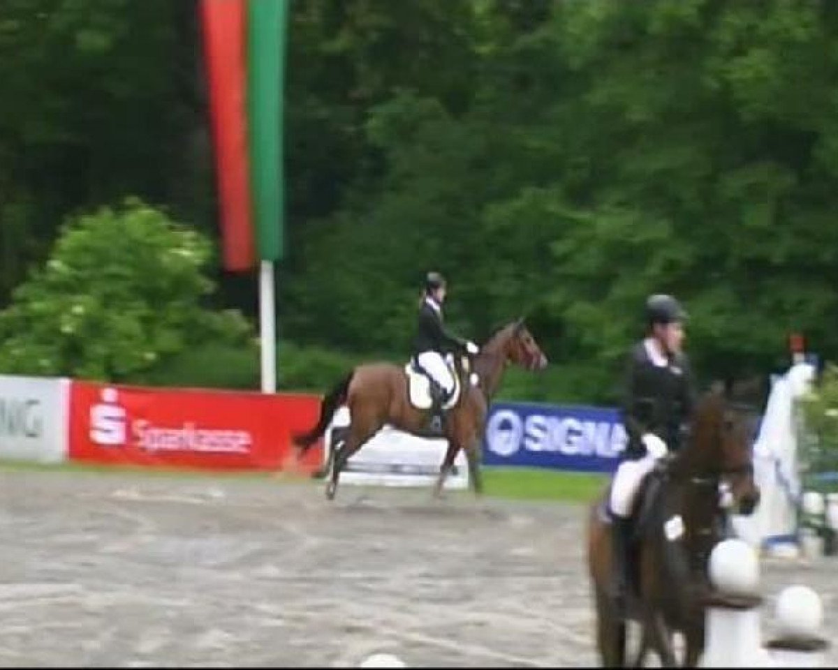 jumper Le-casei-defensis (Oldenburg, 2002, from Landgold)