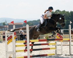 jumper Mylow 7 (German Warmblood, 2009)