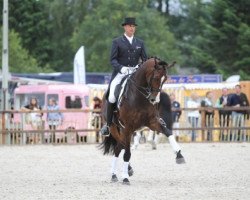 dressage horse President's Majestic Uzzo (KWPN (Royal Dutch Sporthorse), 2001, from Lancet 2)