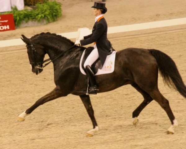 dressage horse Salinero (Hanoverian, 1994, from Salieri)