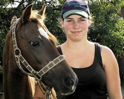 horse Conny (Welsh-Pony (Section B), 1996, from Cottrell Pendragon)