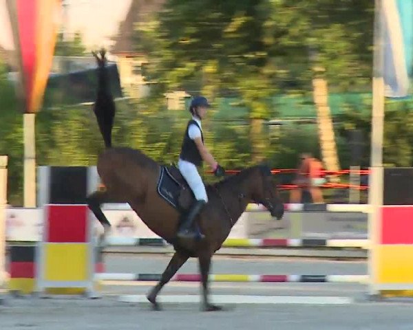 Reitturnier Grafenrheinfeld/Ufr. 2022