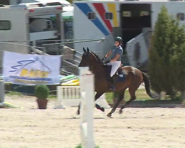 Reitturnier Grafenrheinfeld/Ufr. 2022