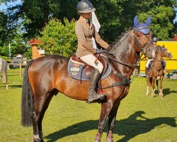 Deckhengst Captain Spock Kb (Deutsches Reitpony, 2017, von Captain Meyer WE)