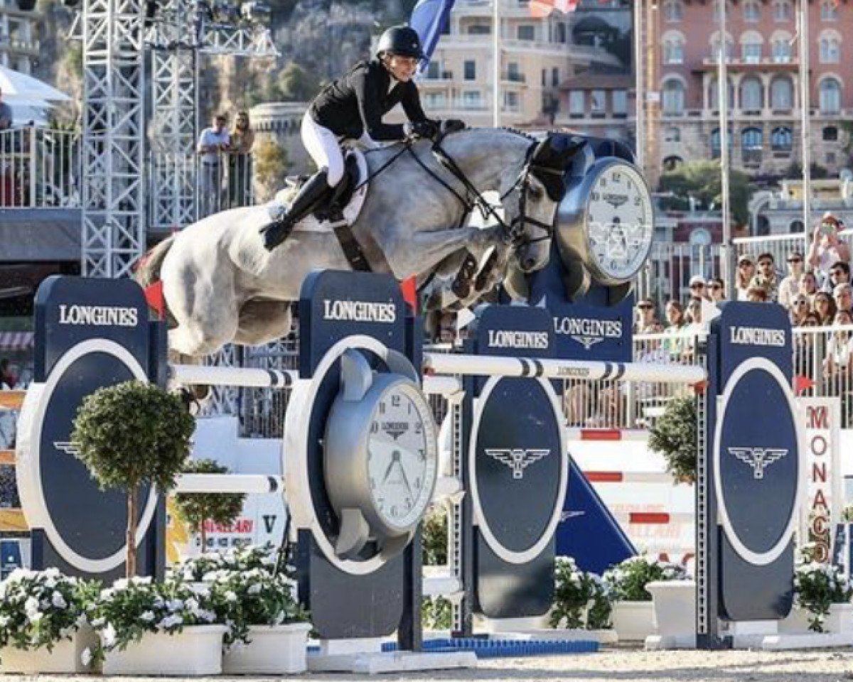 jumper Mademoiselle-A (Belgian Warmblood, 2012, from Corland)