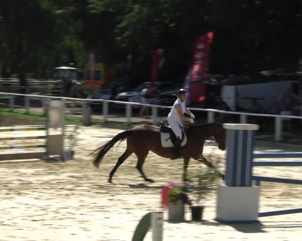 Reitturnier Vellinghausen 2022