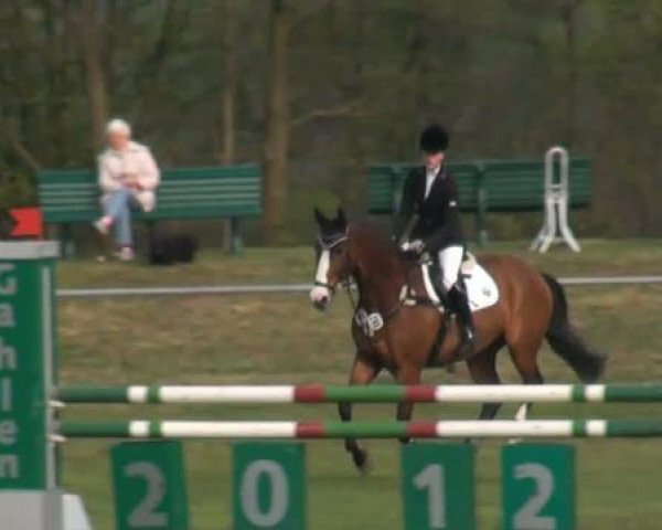 jumper Emilio (Westphalian, 1997, from Externstein)