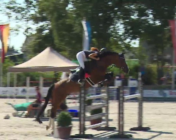 Reitturnier Grafenrheinfeld/Ufr. 2022