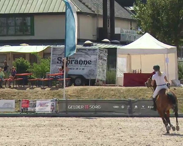 Reitturnier Grafenrheinfeld/Ufr. 2022