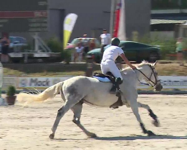 Reitturnier Grafenrheinfeld/Ufr. 2022