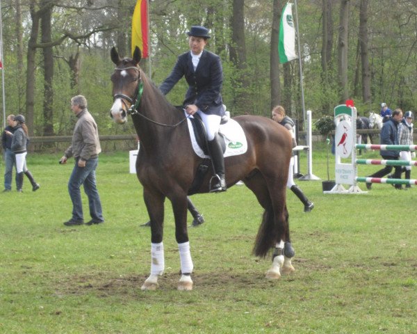 dressage horse Fine Time 24 (Westphalian, 2007, from Florestan I)