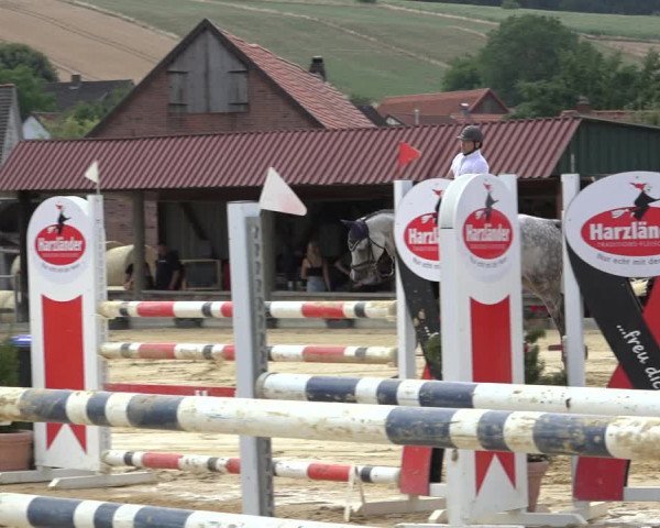 Reitturnier Kreiensen- Rittierode 2022