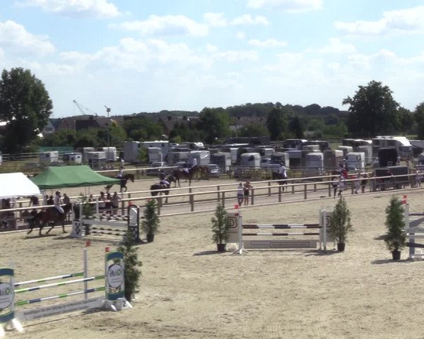 Reitturnier Münster-Amelsbüren 2022
