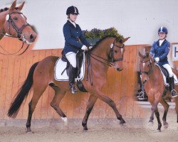 dressage horse Bon Jovi (German Riding Pony, 1998, from Bugatti)