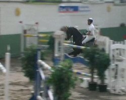 jumper Larix 8 (Swiss Warmblood, 1997)