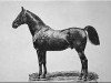 stallion Bartlets Childers xx (Thoroughbred, 1716, from Darley Arabian ox)