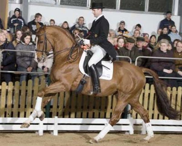 stallion Royal Olymp 142 FIN (Oldenburg, 1997, from Rohdiamant)