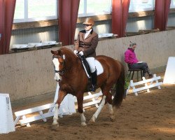 dressage horse Crazy Caspar (Holsteiner, 2002, from Come On)