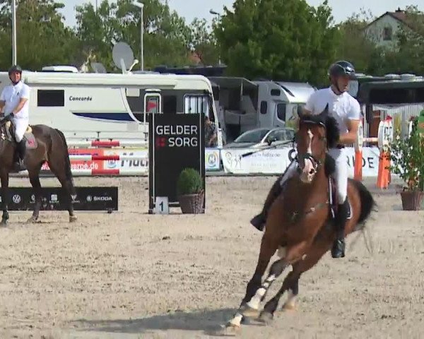 Reitturnier Grafenrheinfeld/Ufr. 2022