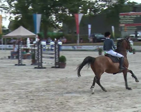 Reitturnier Grafenrheinfeld/Ufr. 2022