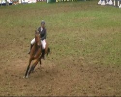 dressage horse Richard Löwenherz (Oldenburg, 1999, from Raphael)