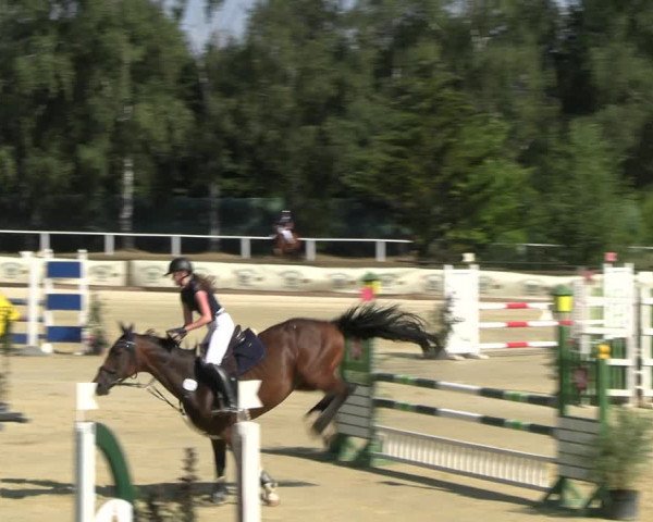Reitturnier Vellinghausen 2022