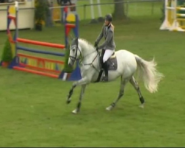 broodmare Chiva 16 (Holsteiner, 2005, from Cassini II)