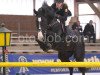 stallion Chjr Smile (KWPN (Royal Dutch Sporthorse), 2001, from Karandasj)