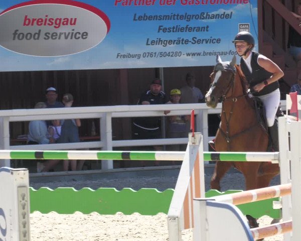 Reitturnier Gundelfingen 2022