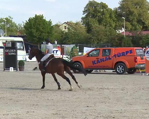 Reitturnier Grafenrheinfeld/Ufr. 2022