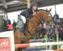 stallion Lord Lohengrin 201 FIN (Hanoverian, 2001, from Lordanos)