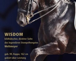 stallion Wisdom (Westphalian, 1999, from Weltmeyer)