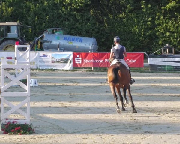 Reitturnier Oberderdingen 2022