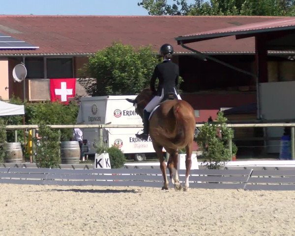 Reitturnier Dompierre 2022