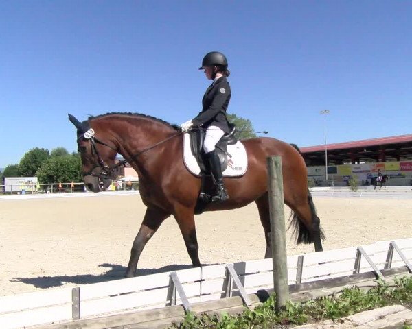 Reitturnier Dompierre 2022