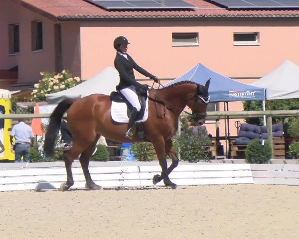 Reitturnier Dompierre 2022
