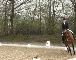 dressage horse Lord MacBeth (Rhinelander, 2003, from Lord Loxley I)