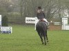 jumper Penelope (Hessian Warmblood, 2004, from Piano II)