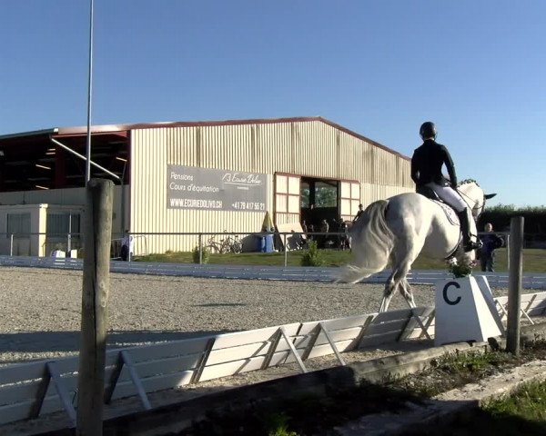 Reitturnier Dompierre 2022