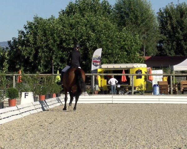 Reitturnier Dompierre 2022